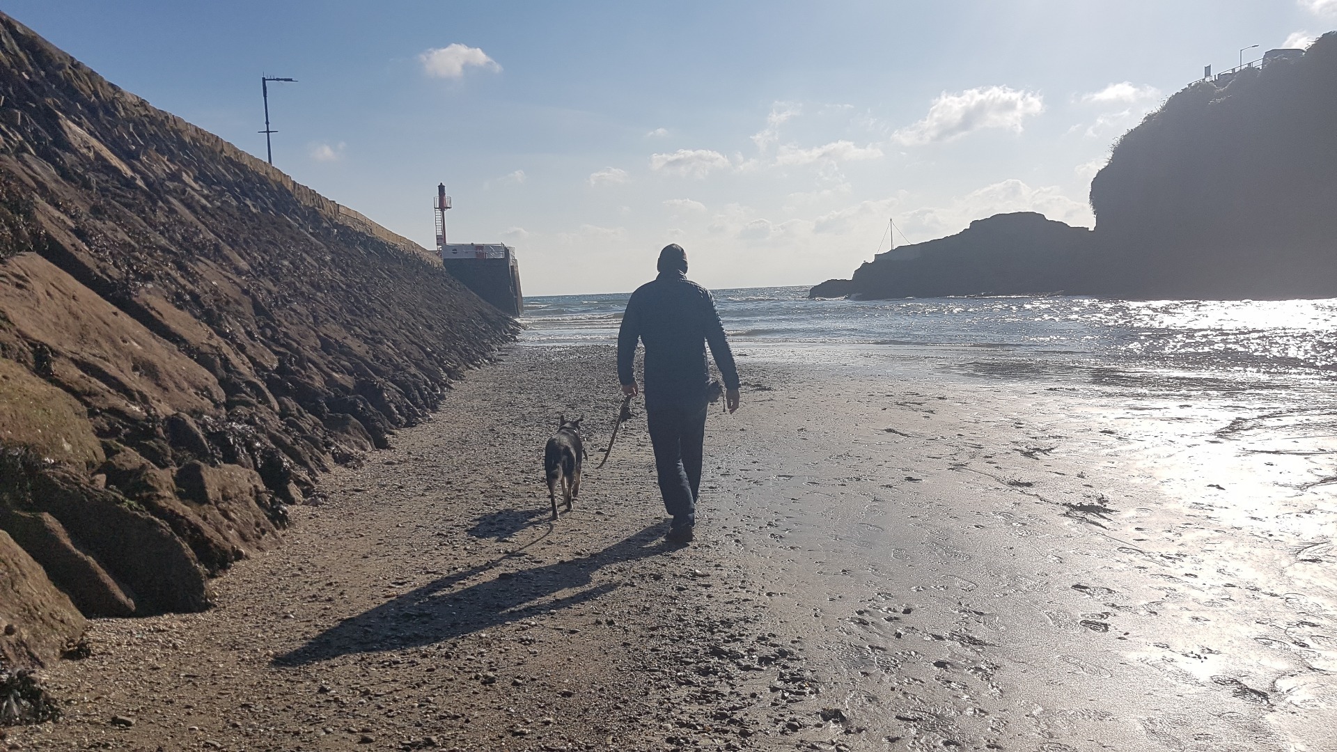 Cornwall dog friendly beach